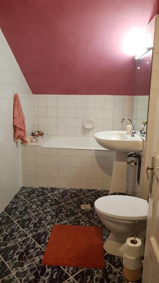 Apartmán Casa Zora Alba Iulia Exteriér fotografie