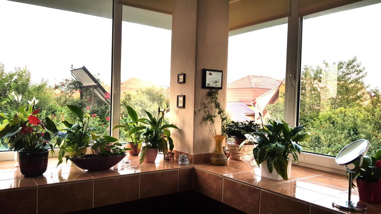 Apartmán Casa Zora Alba Iulia Exteriér fotografie