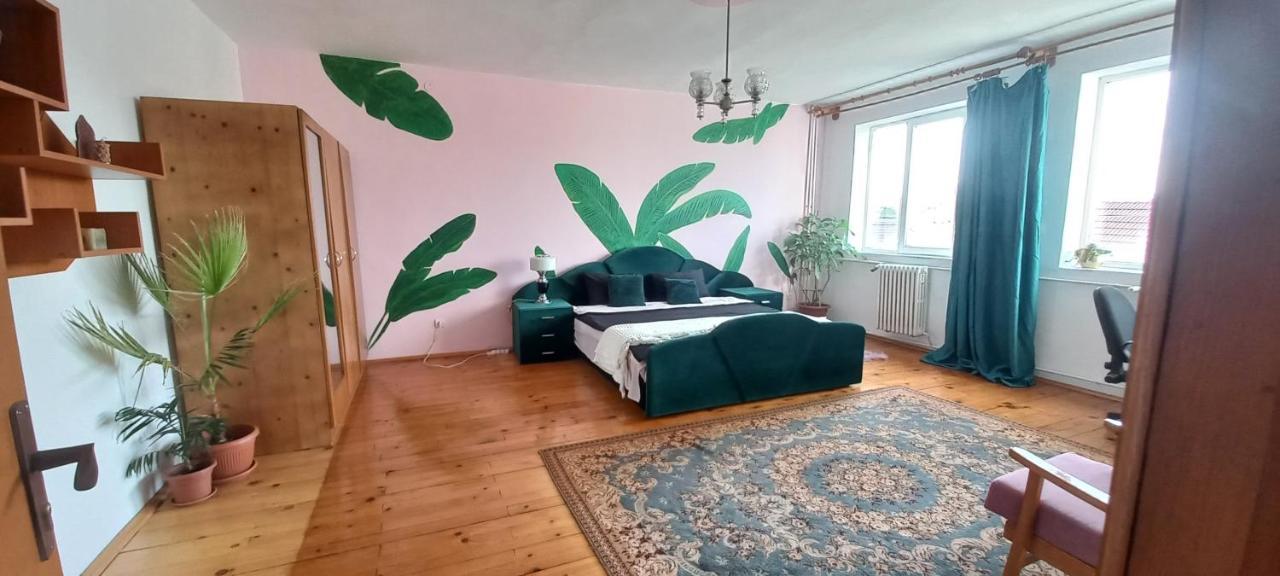 Apartmán Casa Zora Alba Iulia Exteriér fotografie